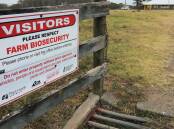 Farm representative groups have highlighted structural and design issues with the government's proposed biosecurity protection levy in a Senate inquiry hearing. 