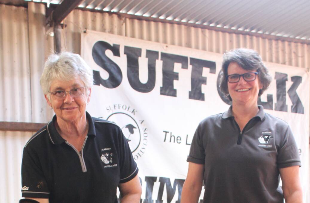Pam Hinkley and Suellyn Boucher, Clackline, at the Northam Spring Suffolk Show and Sale.