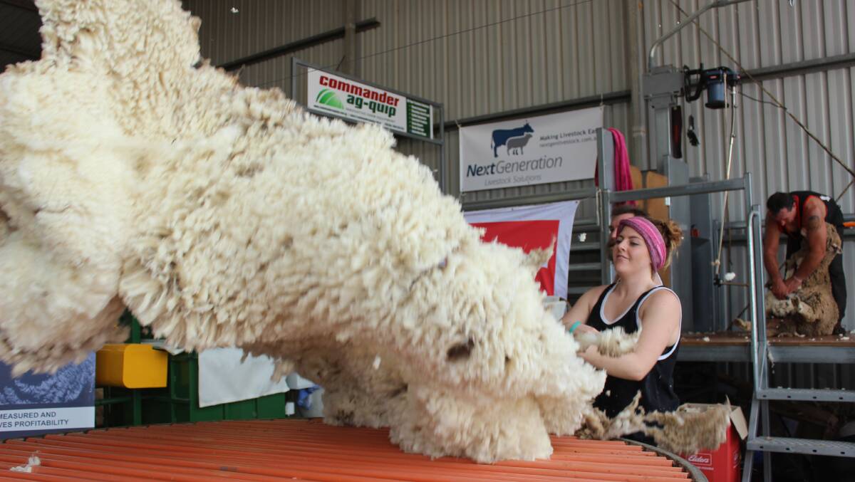 Tora Lambert, Tin Dog Shearing "straight out of Dowerin", throws a fleece onto the skirting table during a shearing and wool handling demonstration.