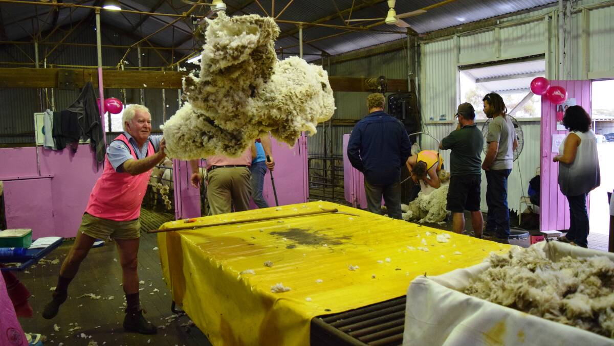  Last year's 'Shearing For Liz' pink shearing day in full flight. The event is on again this Sunday.