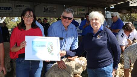  This years Act Belong Commit Williams Gateway Expo was again supported by Lotterywest. Labor Agricultural Region MLC Shelley Payne (left), presented a certificate in recognition of the $15,000 to Williams Gateway Expo sponsorship co-ordinator Ann Rintoul during the Merino judging. They were watched on by Jeffrey Rintoul, Auburn Valley stud, Williams.