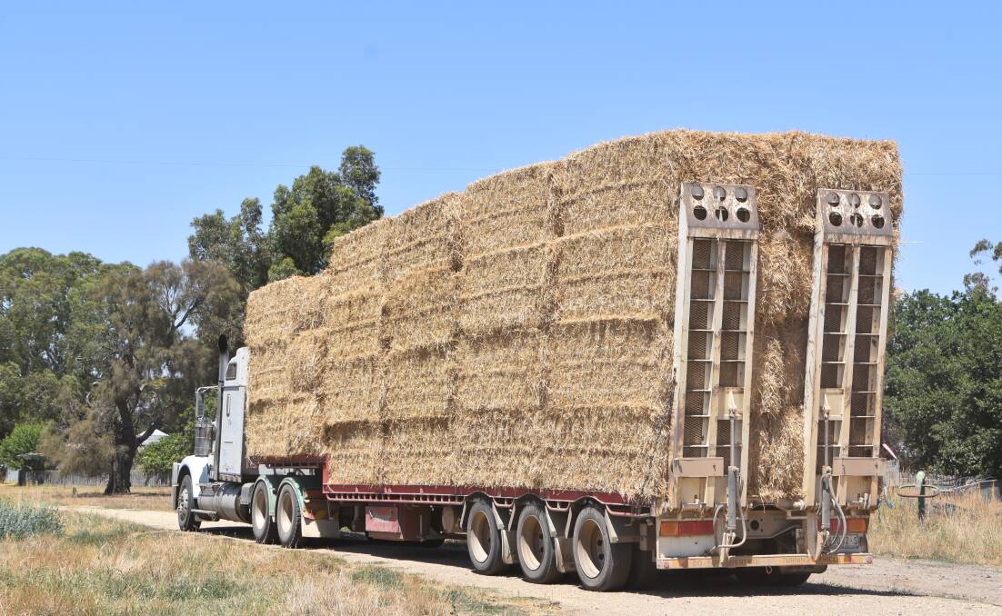 Farmers are warned to ensure fodder they bring in from interstate is free from pests and disease. File photo.