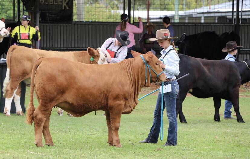Keira Campagnolo, Savannah-K Stud, will offer her first female for sale at the Rocky Red Sale. Picture supplied
