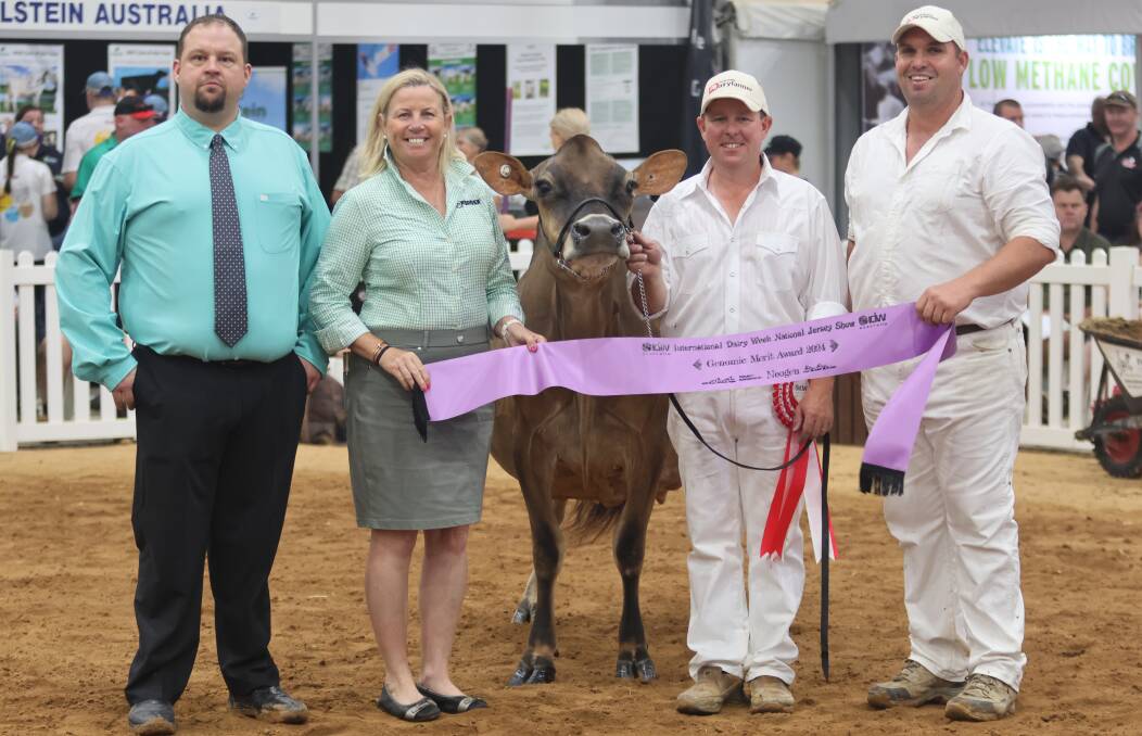 Brad Gavenlock holds the halter of Cairnbrae Valentino Daisy 16, the Jersey winner of the Genomic Merit Award at International Dairy Week. He is pictured with co-owner Murray Polson (far right), IDW Judge Nathan Thomas and Neogen's Marcia Devenney. Picture supplied by DataGene