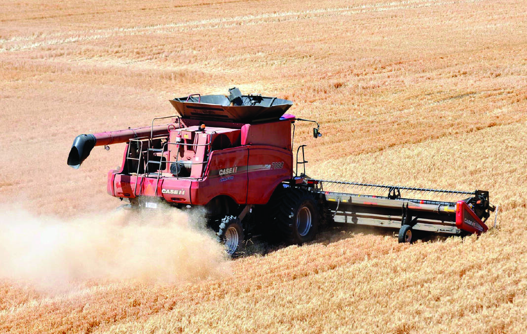 A big crop is expected in WA this coming harvest.