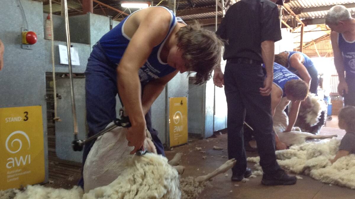 WA College of Agriculture - Cunderdin student, Isaac Stokes (Tammin), competing at the Pingelly Shears last month.