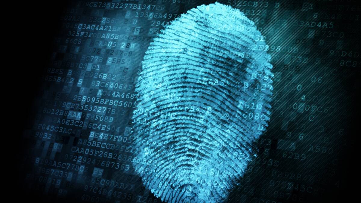 Local woman's fingerprints found in stolen car
