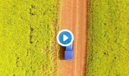 Beautiful footage of wheatbelt canola fields | VIDEO