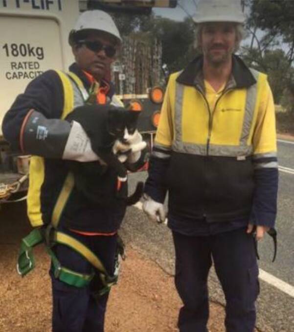 The two Northam Western Power workers with the lucky cat.