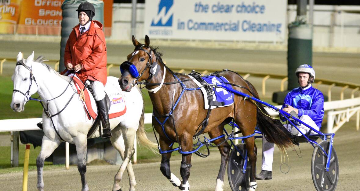 The winner of the 2016 Grafton Electrics Northam Pacing Cup, Our Ideal Act, driven by Ryan Warwick, saluting the judge after a win at Gloucester Park on April 29, 2016.