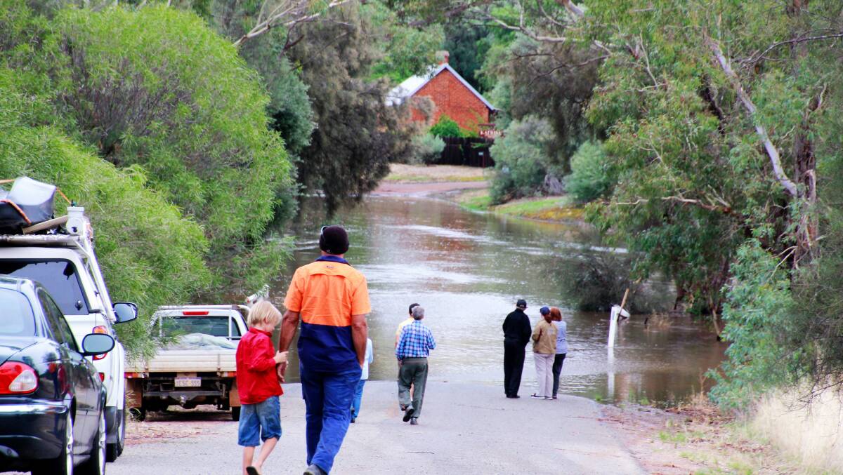 Families having a look at the water over the road near Vivesh Farm, Katrine. Photo: Maureen Allert