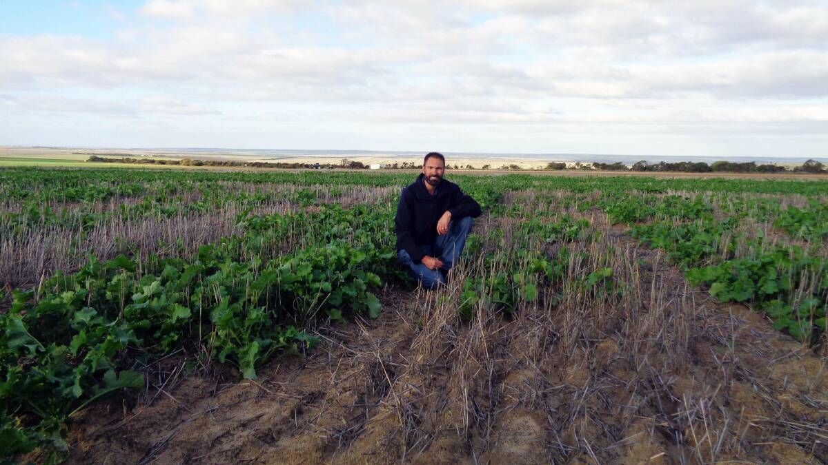 Department of Agriculture and Food research officer Martin Harries at the
2016 Eradu seed depth trial site.