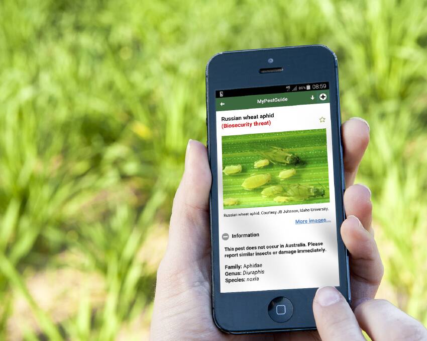 A third of this year's reports were submitted via DAFWA's new PestFax Reporter app.
