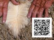 Scan the QR code to take the ACM Agri AWI WoolPoll survey.
