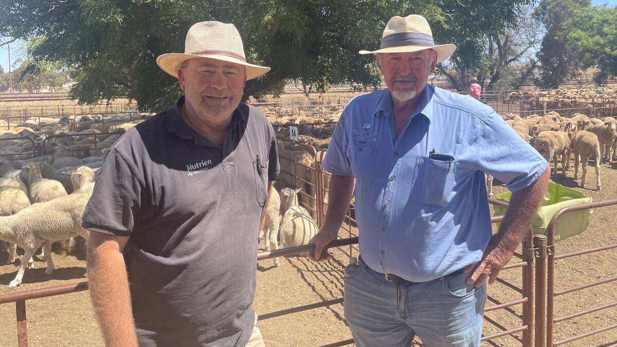 Nutrien Loxton, SA, branch manager Curly Golding with client Kelvin Westbrook, Westbrook Feedlot, Loxton, at Jamestown, SA. Picture by Kiara Stacey