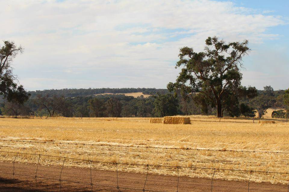 Not granted: Allawuna Farm, the site for the proposed landfill. Photo: Avon Valley Residents Association.