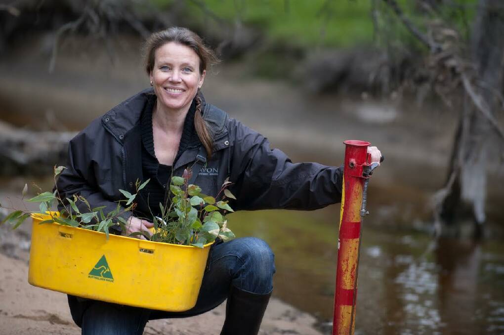Failing: Large-scale environmental problems in the Avon River Basin need a whole-of-community response Dr Elizabeth Kington says.