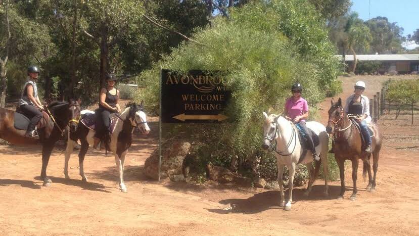 Charity: Local riders Dannielle Kirkpatrick, Kristi Carter, Tina Smith and Dianne Tinetti at Avon Brook Winery will take part in a fundraising ride for Alzheimer's Australia.