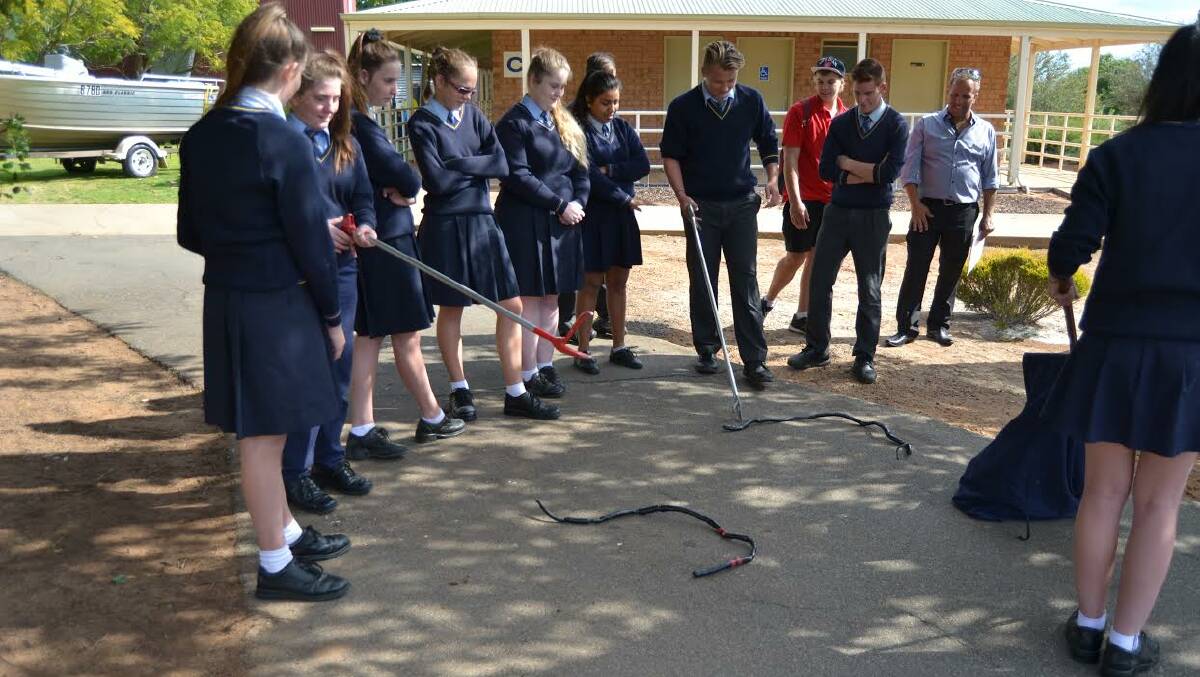 Open day: St Joseph's year 10 students have a go at snake handling.