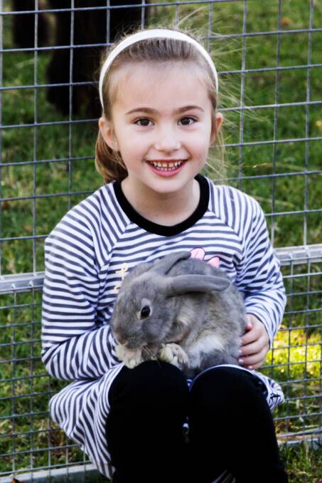 Stella Major loved her cuddles with the rabbits from Sarah's Cuddly Creatures Mobile Farm.