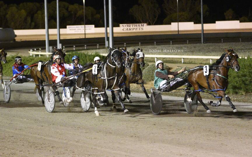 Past the post: The winner of The PG Norrish Memorial Westbred Pace, Kellerberrin trained Hilo Angus driven by Dean Miller. Photos: Jodie Hallows.