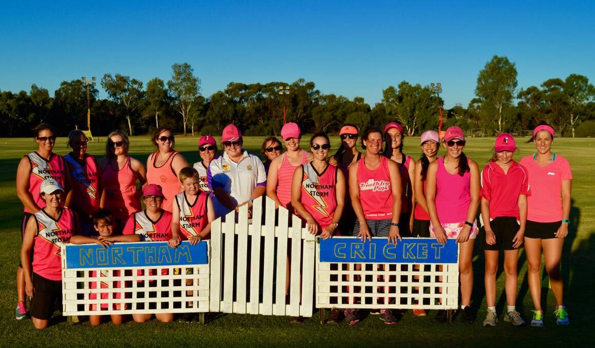 Girls and women pad up for Pink Stumps night.