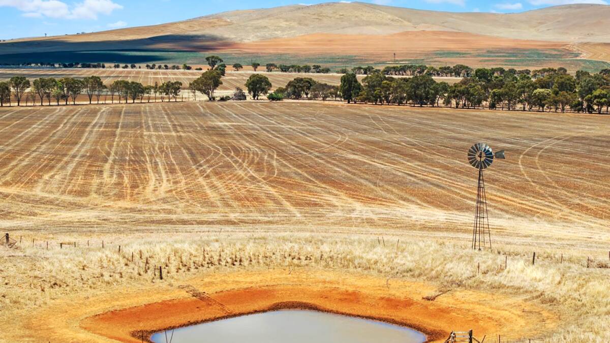 A price of $3500/acre has been suggested for two blocks of farm land at Mount Bryan. Picture supplied