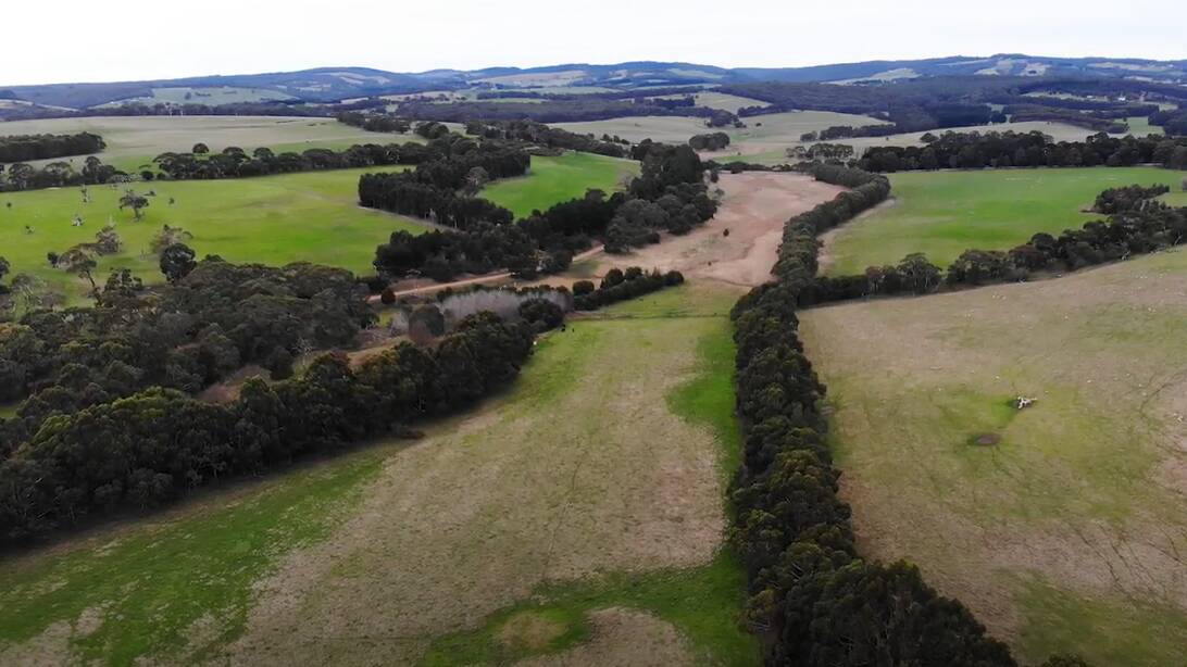 The Stewarts' Otway property has gone from 3 to 18 percent woody vegetation with no reduction in animals turned-off. Picture supplied. 