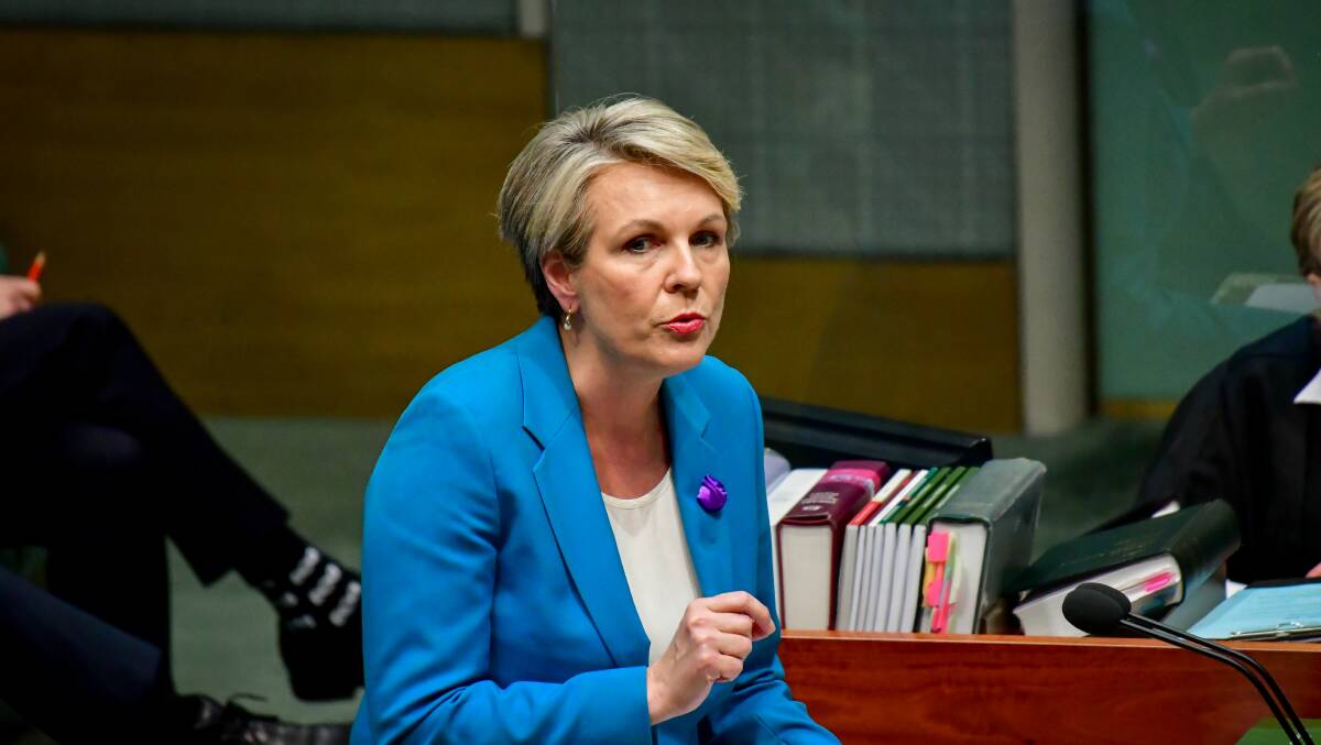 Federal Environment Minister Tanya Plibersek has unveiled the nation's first independent Environmental Protection Agency. Picture by Elesa Kurtz.