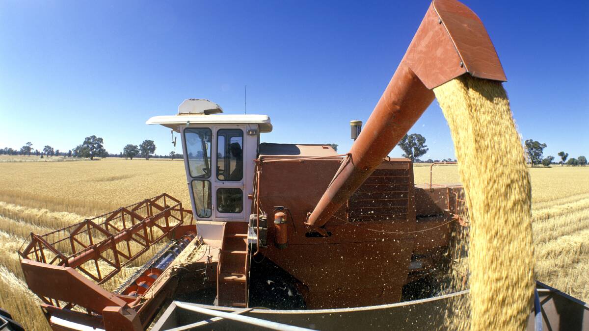 Grain Trade Australia believe the Biosecurity Protection Levy's July 1 implementation date is 'ambitious'. Picture by Shutterstock.