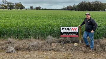Paul Ryan by a big wheat crop sown in Beulah, Victoria. This crop was sown with a RYAN NT retrofit Smale Bar.