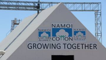 Another above average ginning season pays off for Namoi Cotton. File photo.