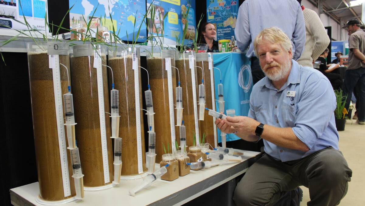 Department of Primary Industries and Regional Development senior research officer at Northam, Chris Gazey, with a display showing research on lime and gypsum soil treatments using barley and wheat samples.