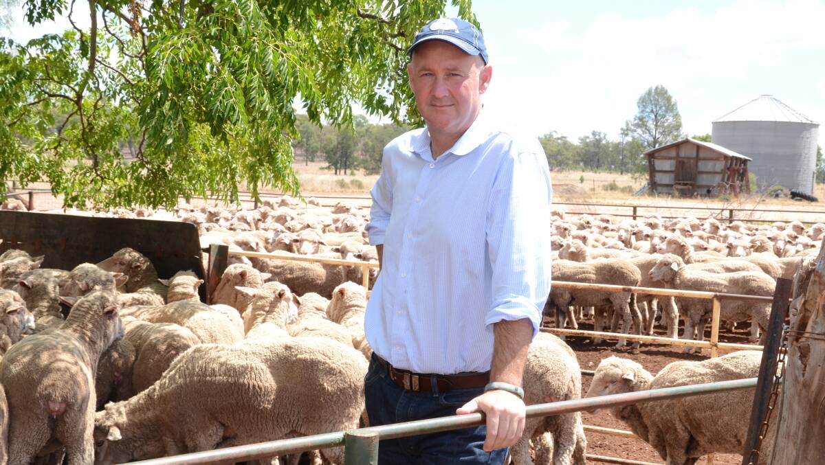 Australian Wool Innovation chief executive officer Stuart McCullough believes record prices for Australian Merino wool in the past year are a reflection of the strong and consistent demand for Australian wool.