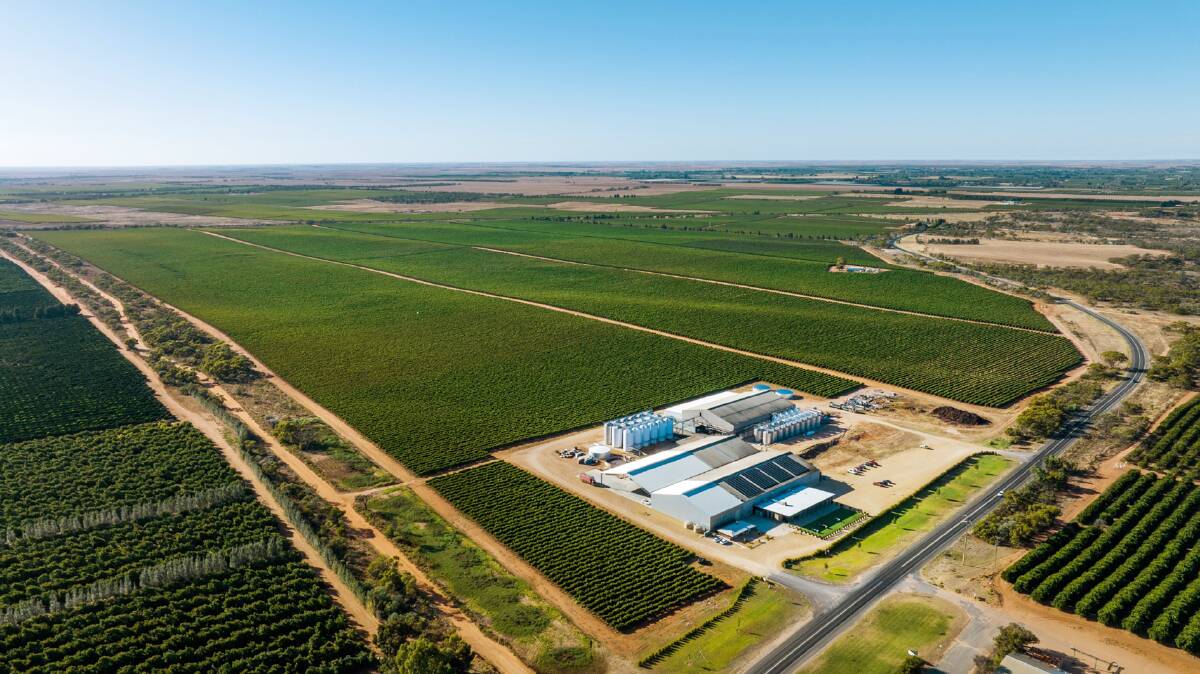 One of South Australia's biggest wine companies has collapsed. Pictures supplied.