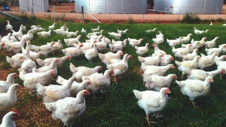 Special meeting announced for free range farm proposal