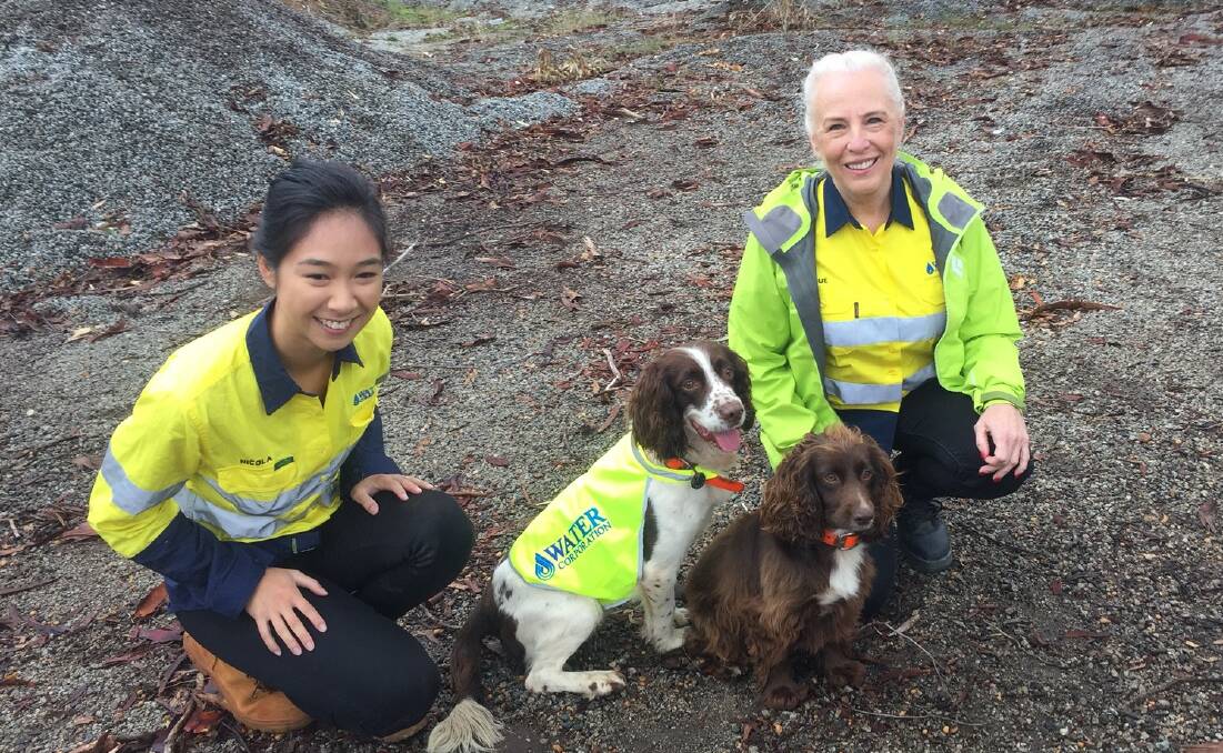 Water Corporation chief executive officer Sue Murphy and our project engineer Nicola Lazaroo with dogs Tommy and Emma.
