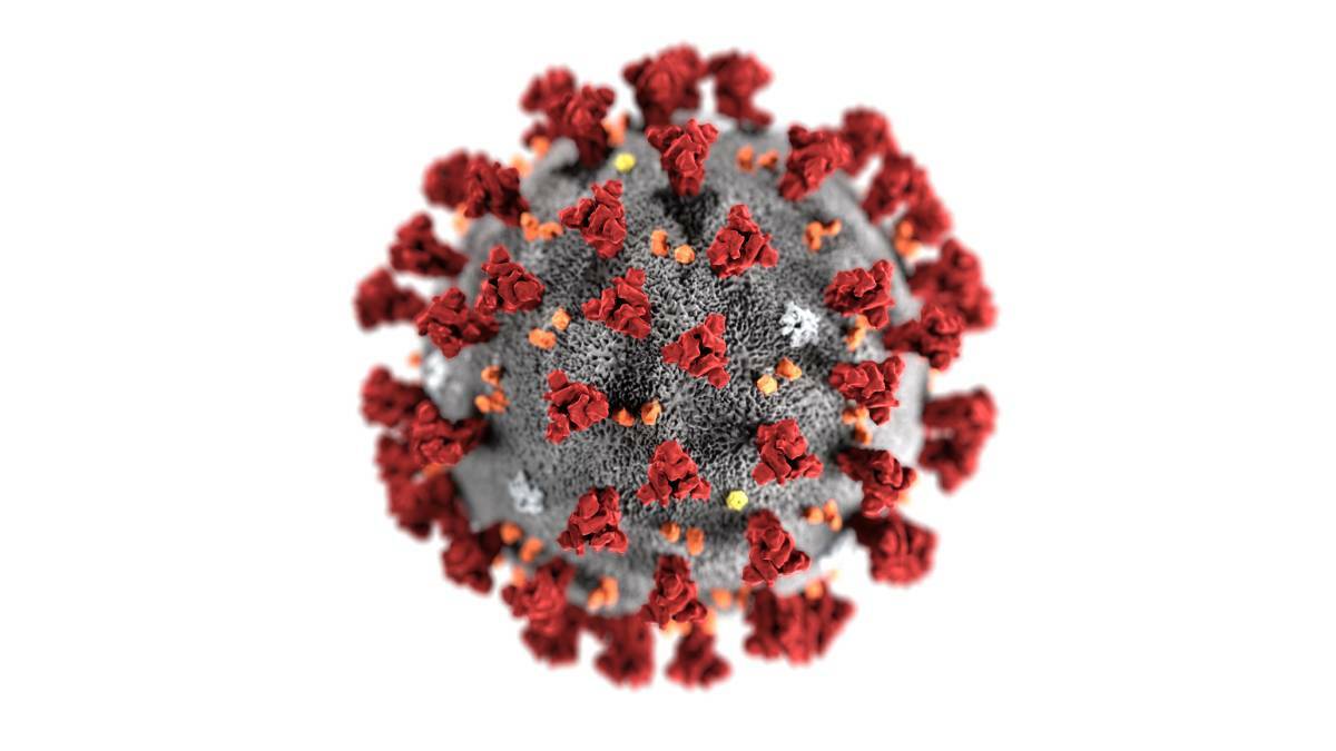 All you need to know about coronavirus in one place