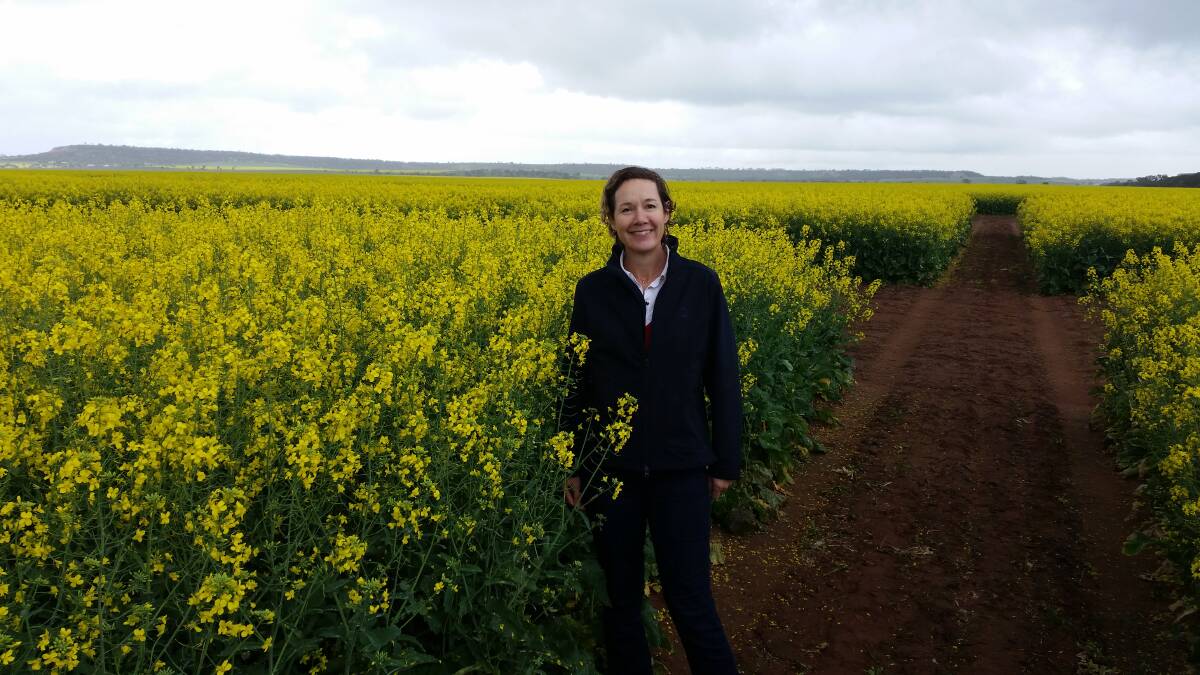 Opportunities and growth: DPIRD development officer Jackie Bucat urged growers to compare existing and new canola lines in this year's Canola Variety Sowing Guide for WA. Photo: Supplied.