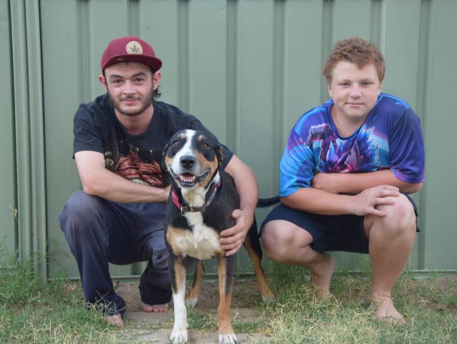 Owners warning: Brothers Dylyn and Liam with nine-year-old American staffy Jack who was at the vet for two days after eating snail pellets. Photo: Eliza Wynn.