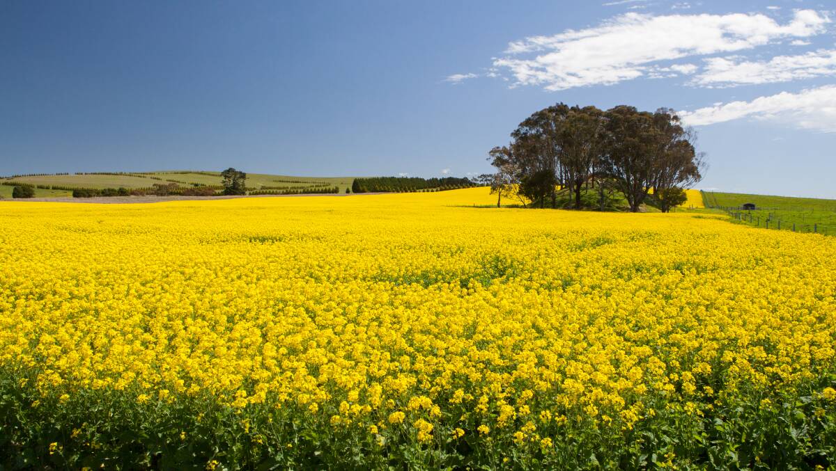 The Avon Valley is set to join the National Disability Insurance Scheme. Photo: Shutterstock. 