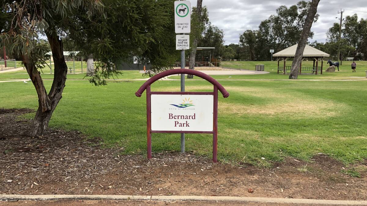 They said a number of locations were considered, including the ‘village green’ grassed area adjacent to the Avon Mall, Jubilee Oval in proximity of the Youth space, and also the area of Bernard Park between the Sound Shell and Swan enclosure. 