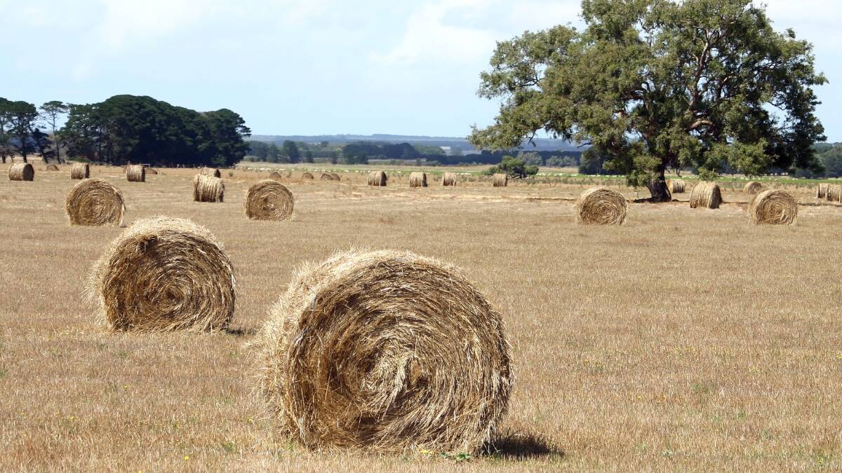 Truckies delivering hay over East allowed bigger loads