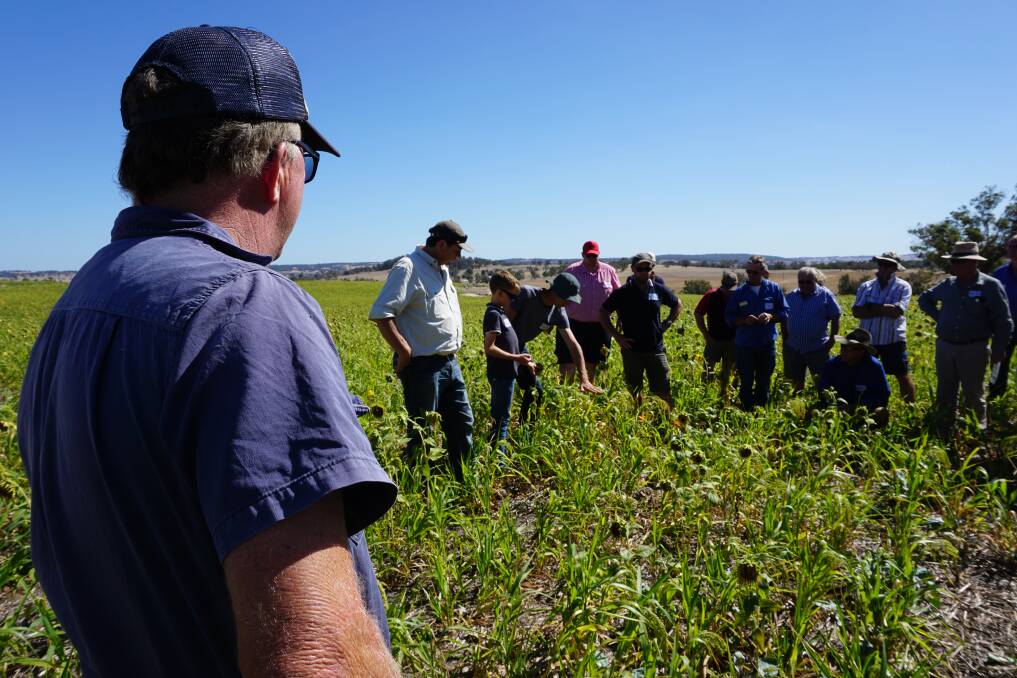Members from the Regenerative Farmers Network at a recent RegenWA event.
