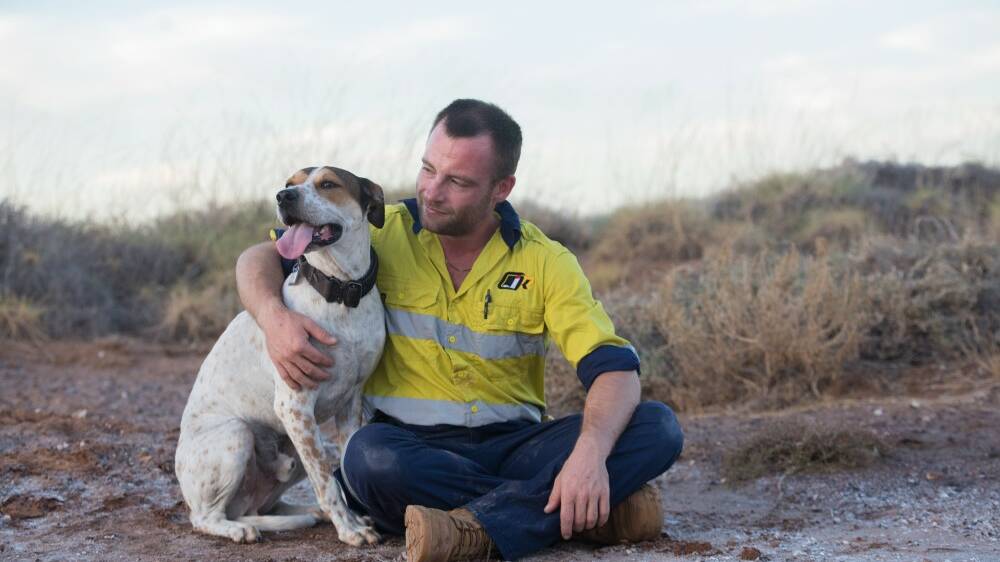 National award for WA animal rescue network