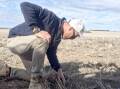 Esperance grower John Sanderson checks the soil for any moisture as seeding cranks up.