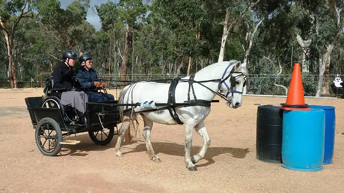 Bakers Hill RDA Carriage Driving Centre is hosting an orientation day on Monday, February 26 for new and current volunteers and potential clients.