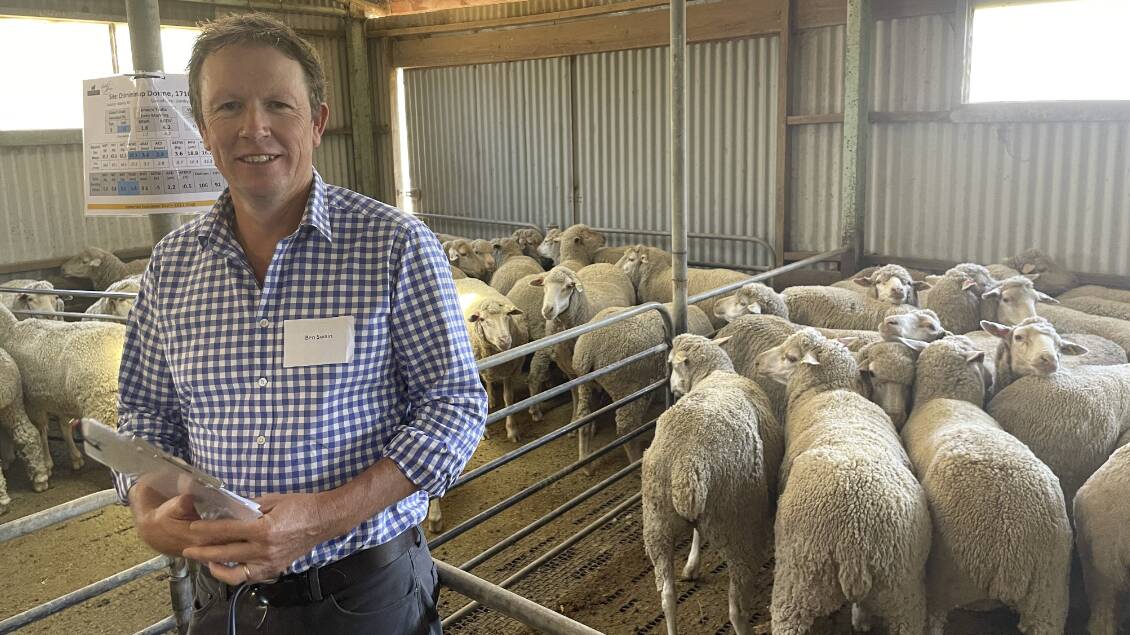 The latest results from the Dohne sire evaluation trial were presented by Australian Merino Sire Evaluation Association chief executive officer Ben Swain at a recent field day hosted by Coonong Station, Urana, NSW. Picture supplied
