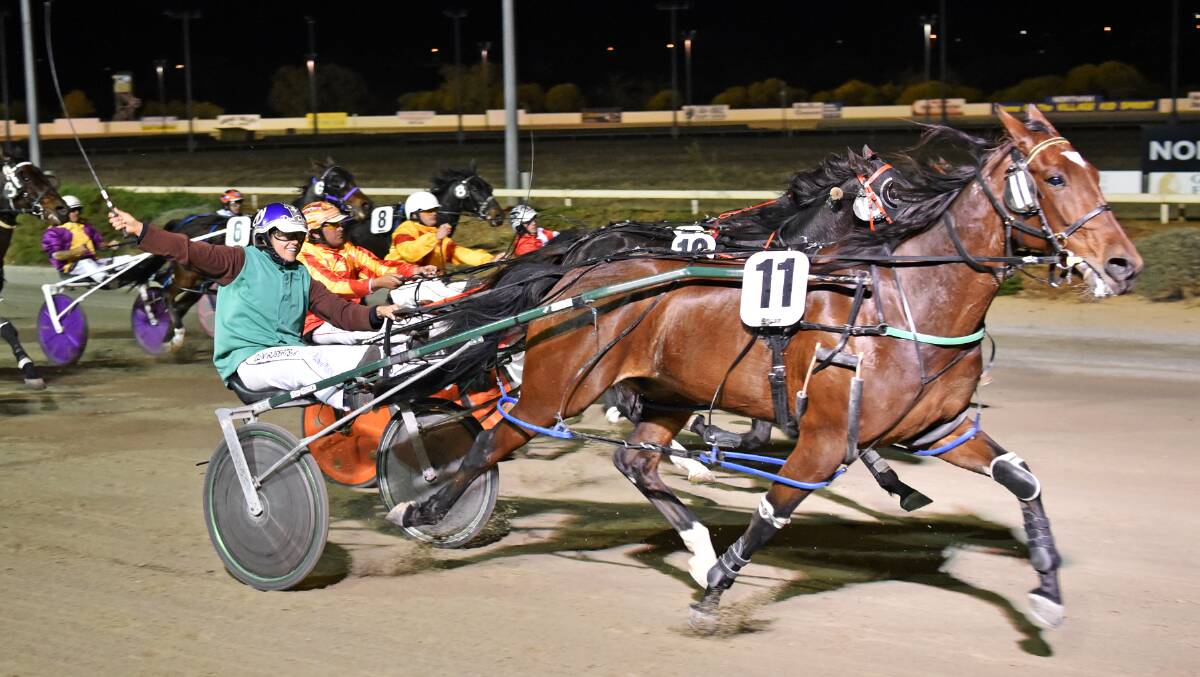 Amazing career: Deni Roberts winning her 100th career drive on Hilo Angus at Northam Harness Racing Club on May 3. Photo: Jodie Hallows Photography.