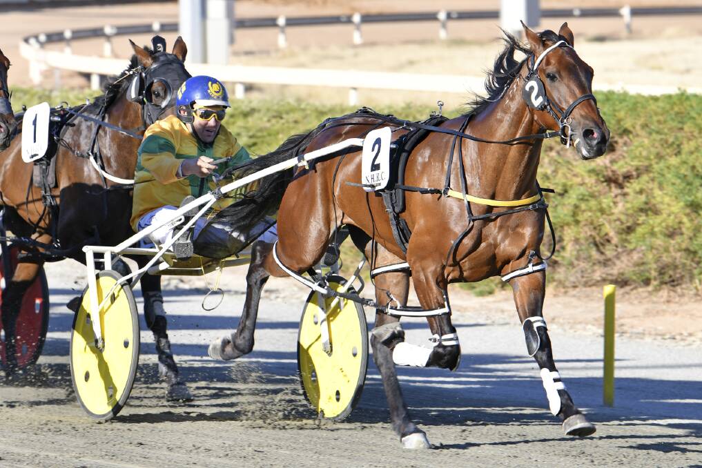Hot form: Valbonne driven by Mark Reed, winning at Northam last week, on January 15. Photo: Photography by Jodie Hallows.